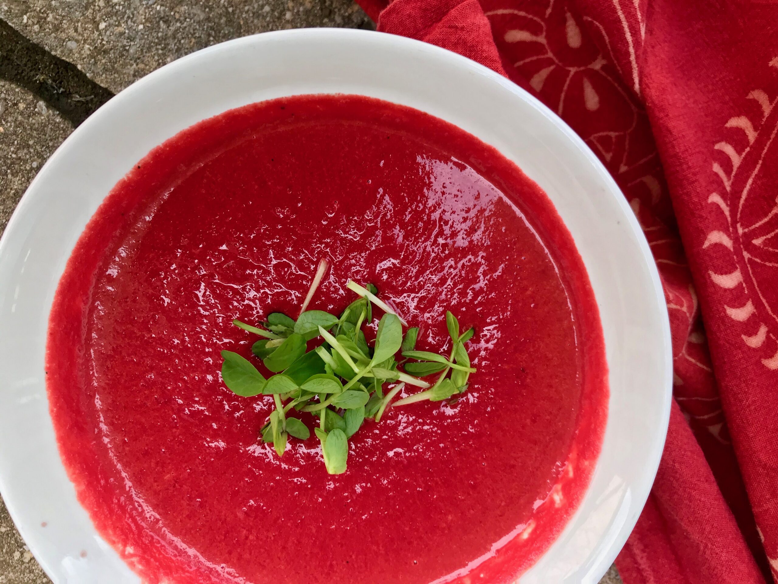 Lyne's Borscht Soup