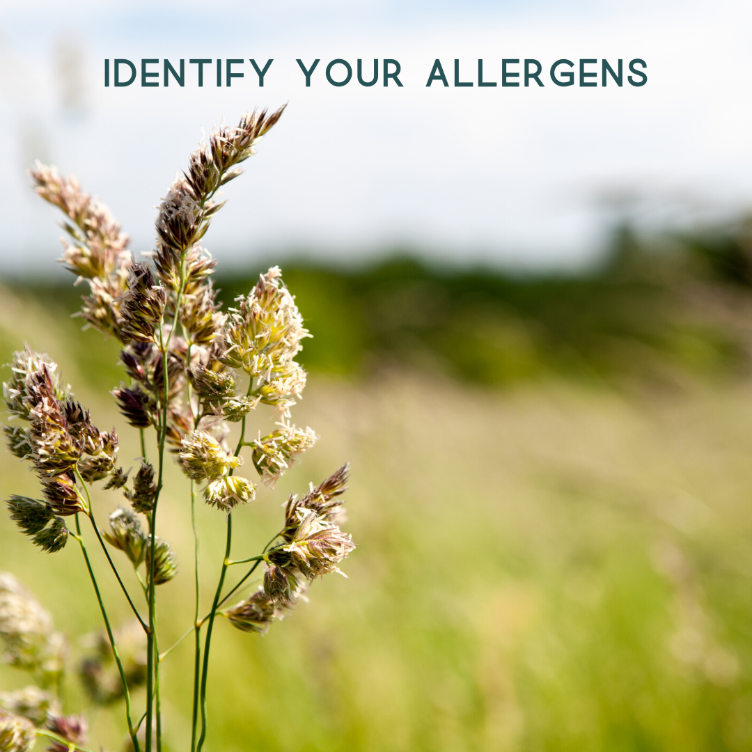 Identify Your Allergens