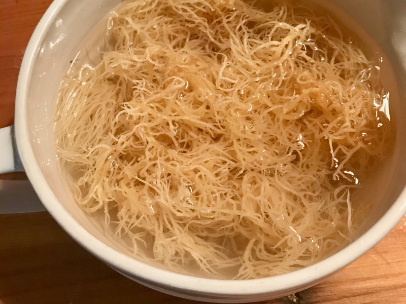 Sea Moss AKA Irish Moss or Red Algae: 5 Easy Steps to prepare It