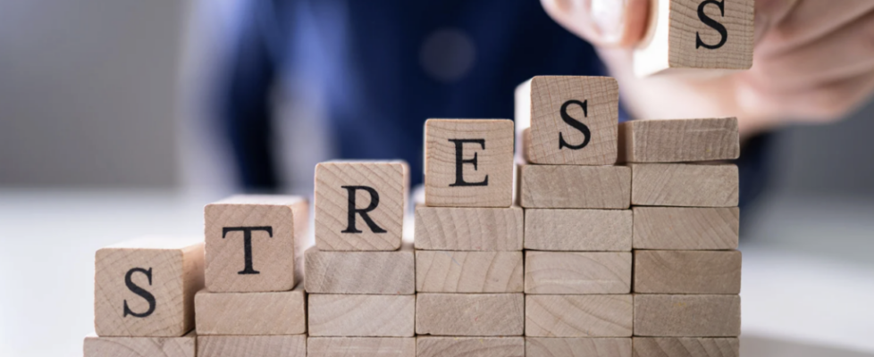 Screenshot 2026-03-01 at 12.40.07 PM