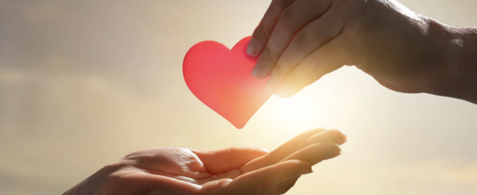 Screenshot 2026-04-22 at 4.52.08 PM